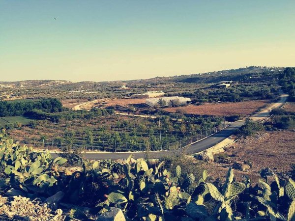  | موسوعة القرى الفلسطينية