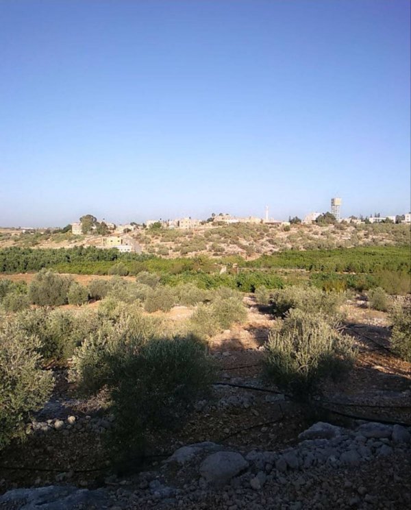  | موسوعة القرى الفلسطينية