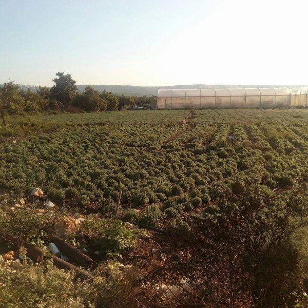  | موسوعة القرى الفلسطينية