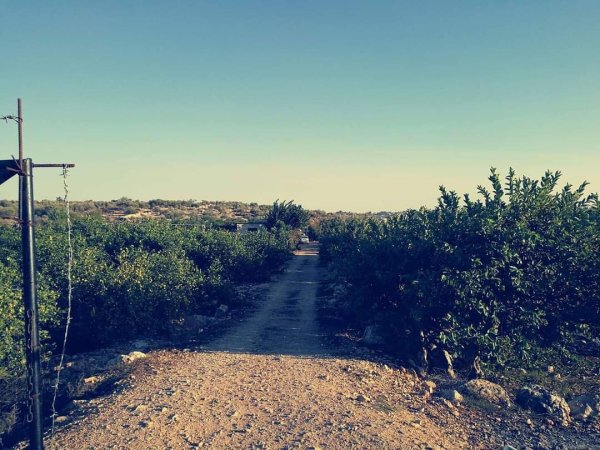  | موسوعة القرى الفلسطينية