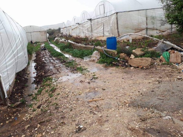  | موسوعة القرى الفلسطينية