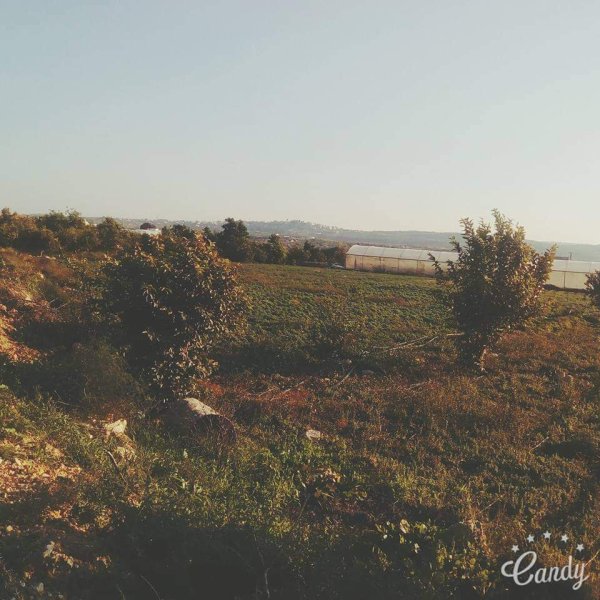  | موسوعة القرى الفلسطينية