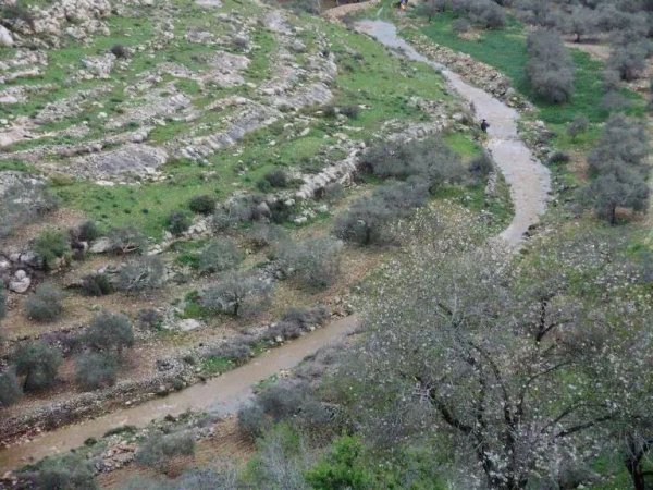  | موسوعة القرى الفلسطينية