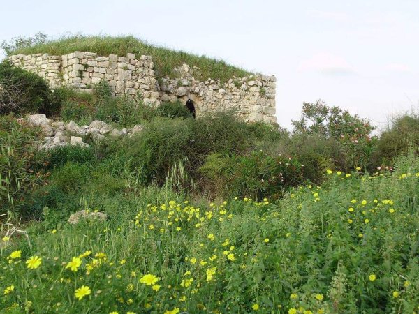  | موسوعة القرى الفلسطينية