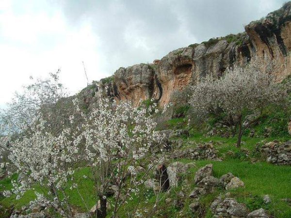  | موسوعة القرى الفلسطينية
