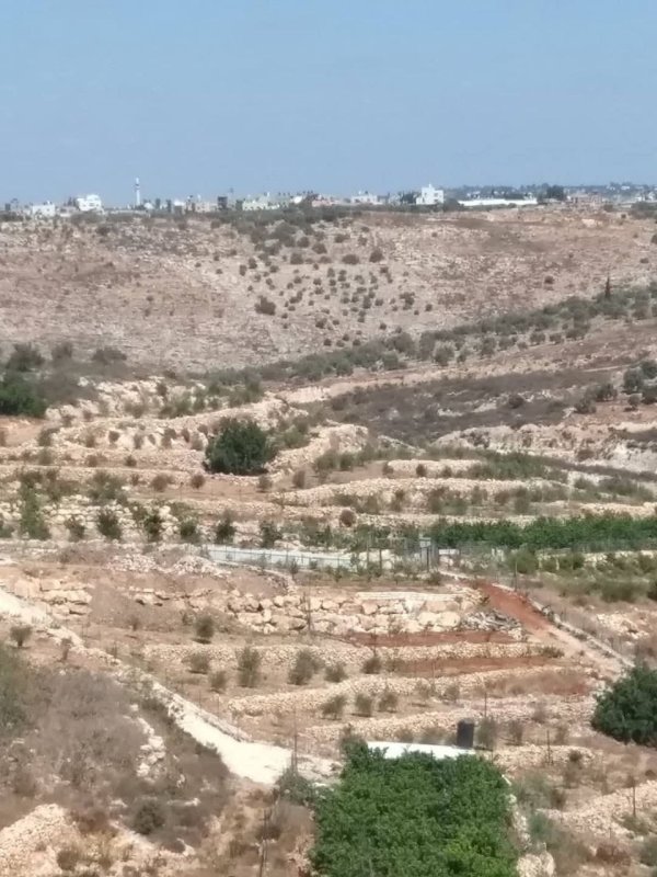  | موسوعة القرى الفلسطينية