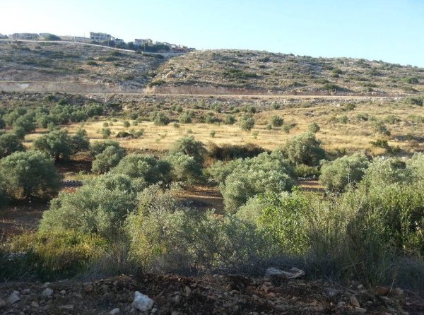  | موسوعة القرى الفلسطينية