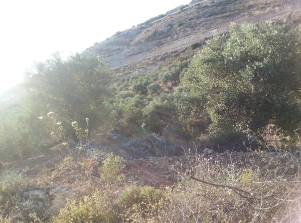  | موسوعة القرى الفلسطينية