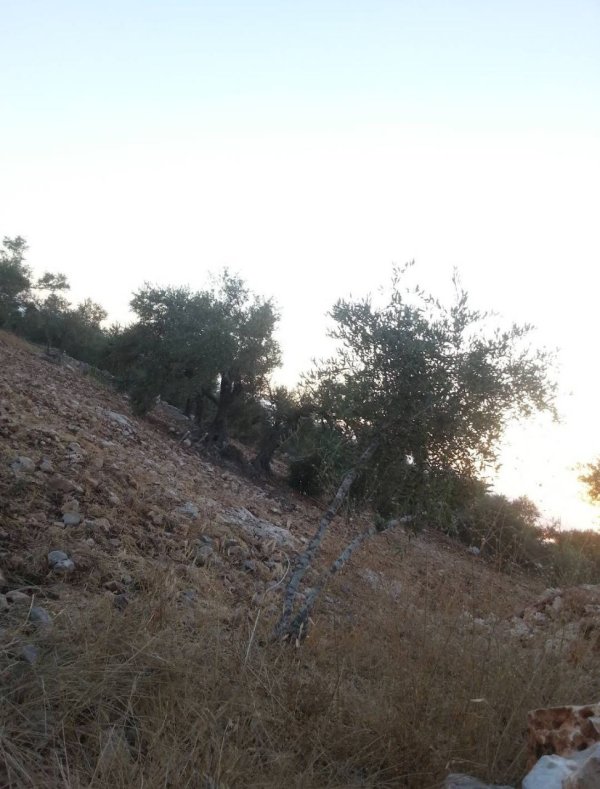  | موسوعة القرى الفلسطينية