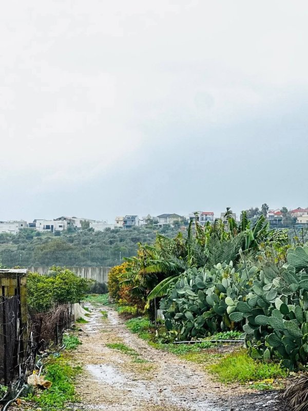  | موسوعة القرى الفلسطينية