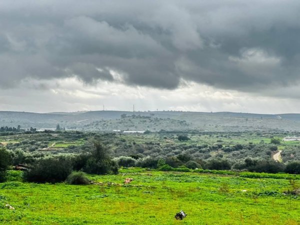  | موسوعة القرى الفلسطينية