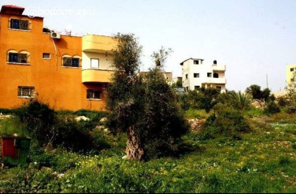  | موسوعة القرى الفلسطينية