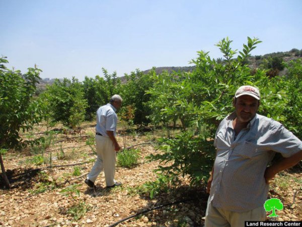  | موسوعة القرى الفلسطينية