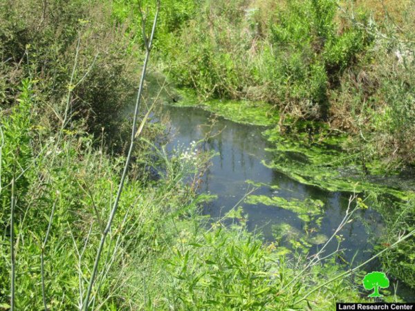  | موسوعة القرى الفلسطينية