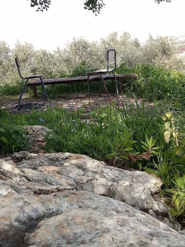  | موسوعة القرى الفلسطينية