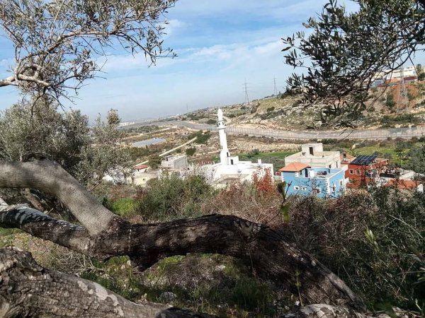  | موسوعة القرى الفلسطينية