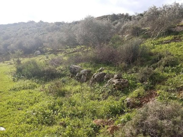  | موسوعة القرى الفلسطينية