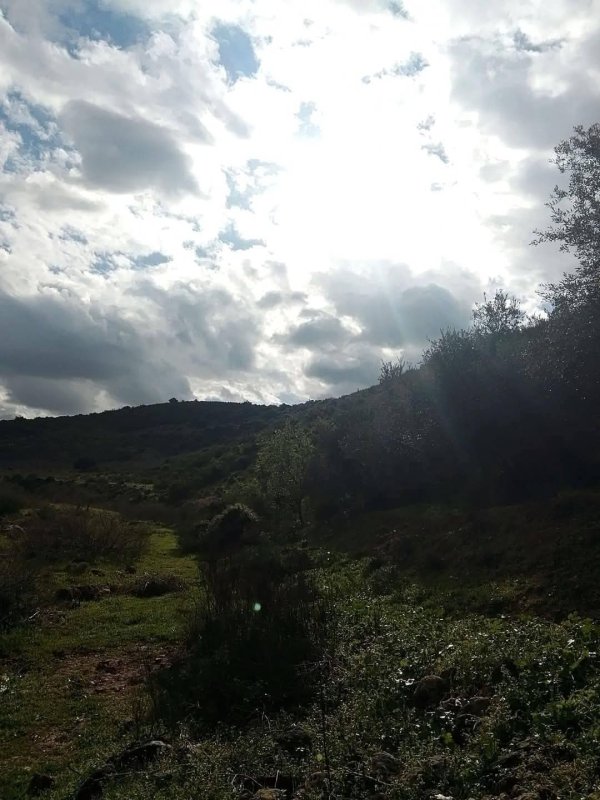  | موسوعة القرى الفلسطينية