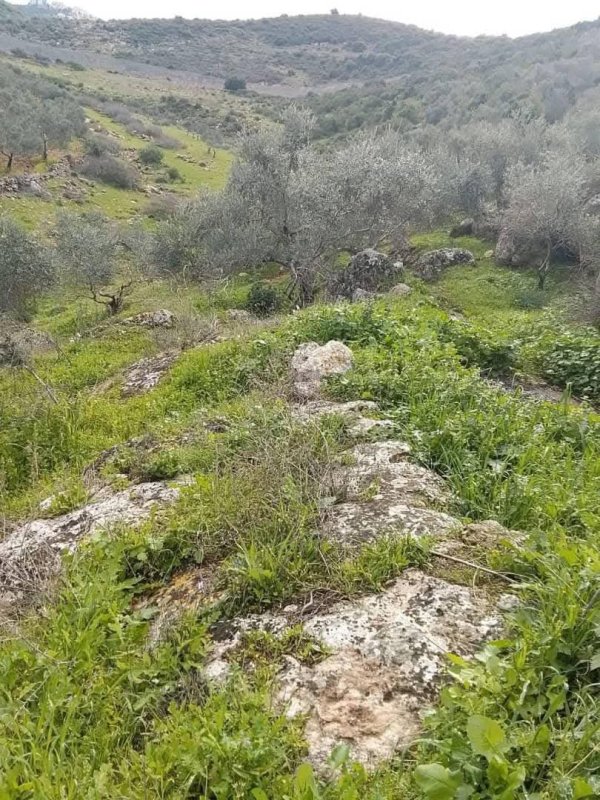  | موسوعة القرى الفلسطينية