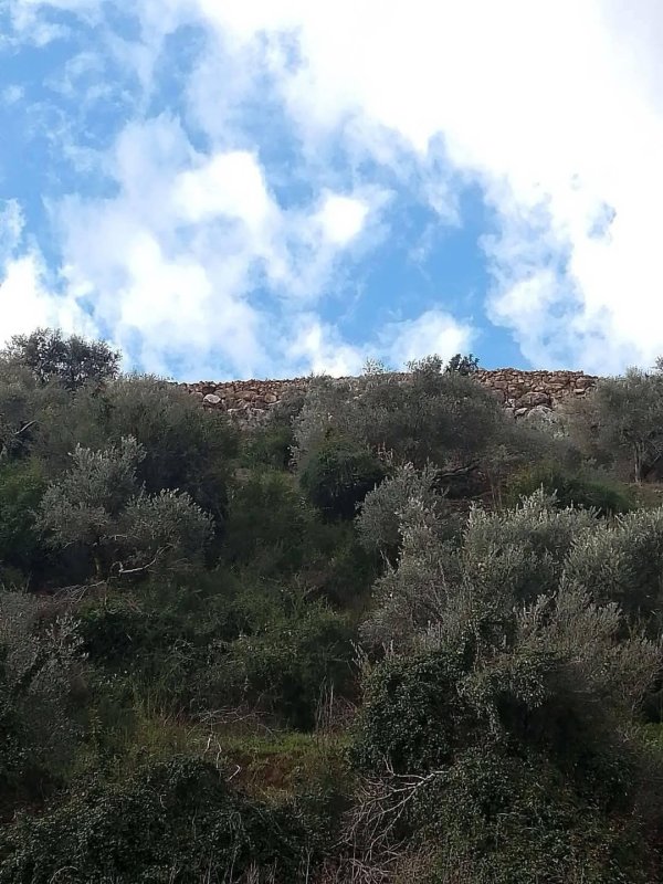  | موسوعة القرى الفلسطينية