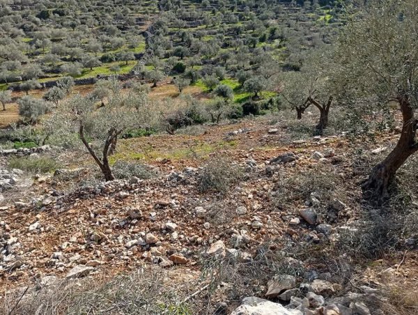  | موسوعة القرى الفلسطينية