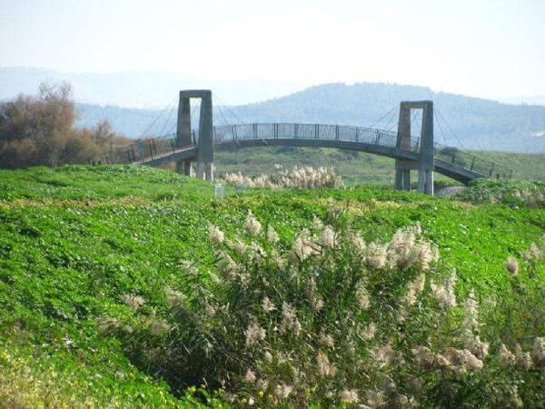 قرية خلدة/ الرملة