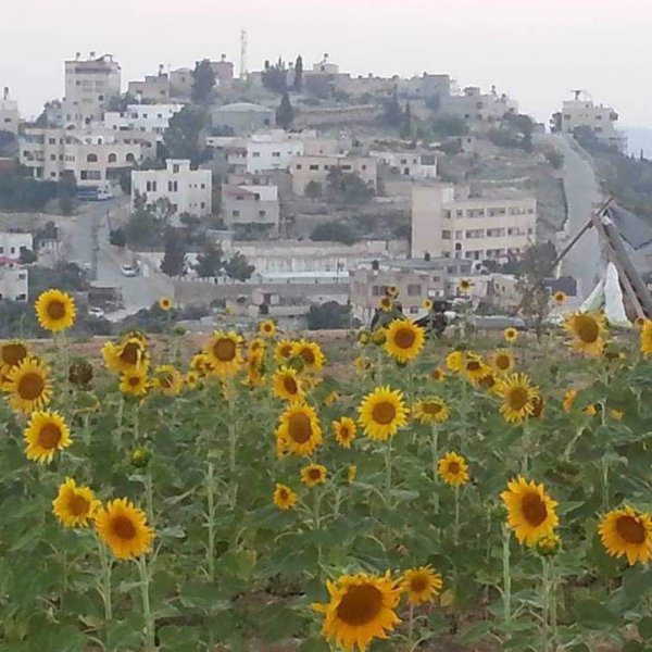 صور من قرية فرعتا شرقي مدينة قلقيلية