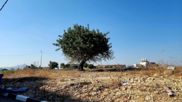  | موسوعة القرى الفلسطينية