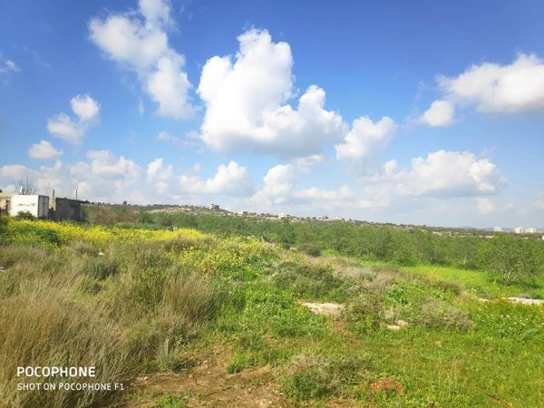 صور حديثة لمدينة جنين بإطلالات من مختلف أنحاء المدينة