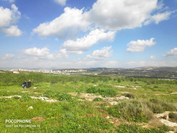 صور حديثة لمدينة جنين بإطلالات من مختلف أنحاء المدينة