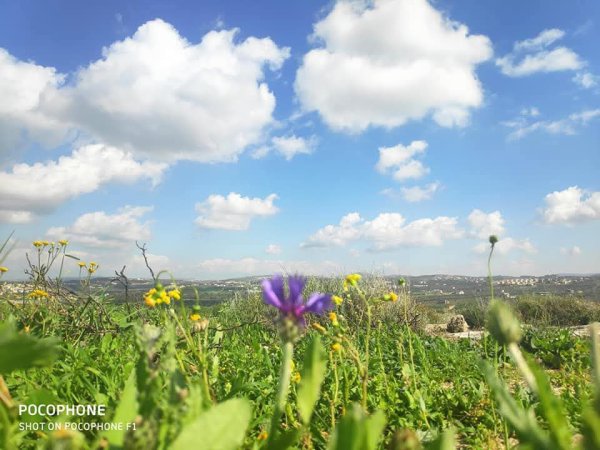 صور حديثة لمدينة جنين بإطلالات من مختلف أنحاء المدينة