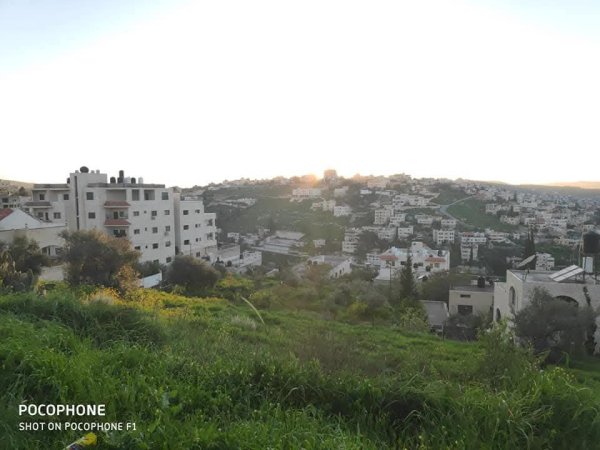 صور حديثة لمدينة جنين بإطلالات من مختلف أنحاء المدينة