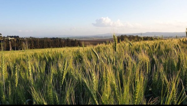 صور من المستوطنات التي أقيمت على أراضي قرية جباتا