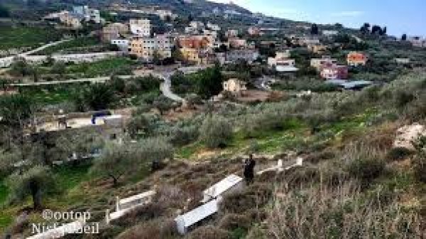  | موسوعة القرى الفلسطينية