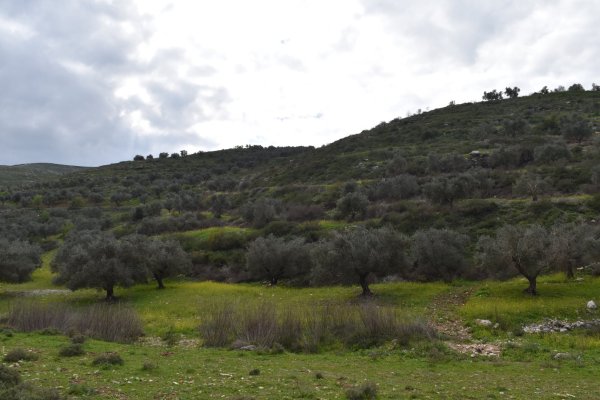  | موسوعة القرى الفلسطينية