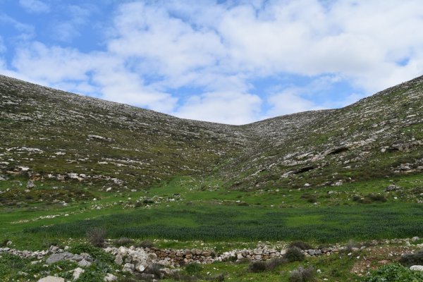  | موسوعة القرى الفلسطينية