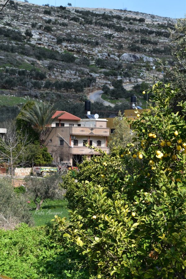  | موسوعة القرى الفلسطينية