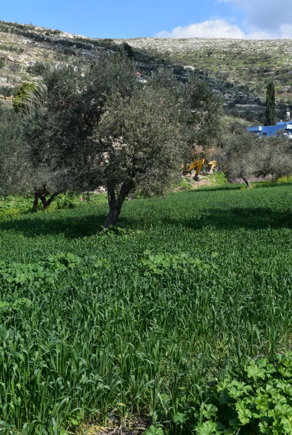  | موسوعة القرى الفلسطينية