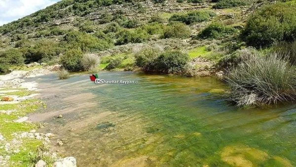  | موسوعة القرى الفلسطينية