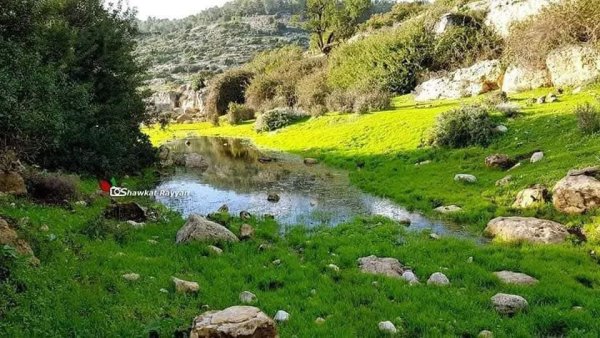  | موسوعة القرى الفلسطينية