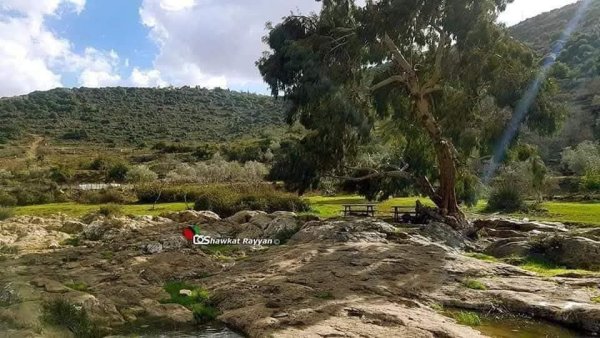  | موسوعة القرى الفلسطينية