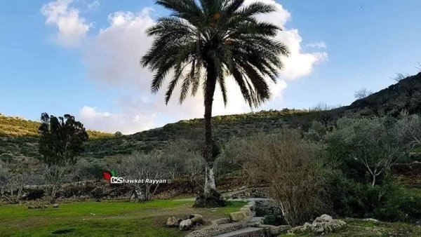  | موسوعة القرى الفلسطينية