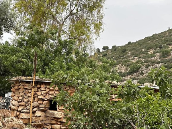  | موسوعة القرى الفلسطينية