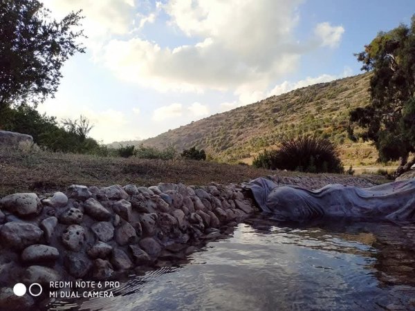  | موسوعة القرى الفلسطينية