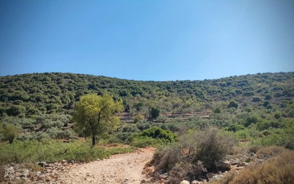  | موسوعة القرى الفلسطينية