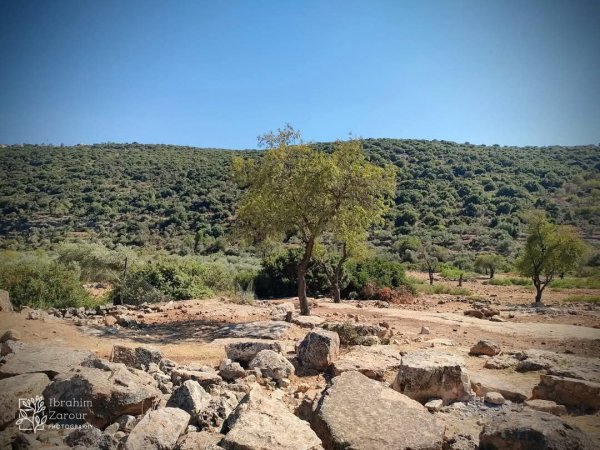  | موسوعة القرى الفلسطينية