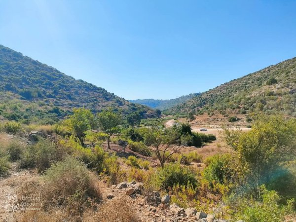  | موسوعة القرى الفلسطينية