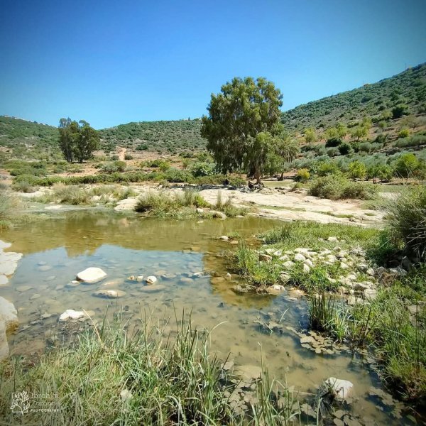  | موسوعة القرى الفلسطينية