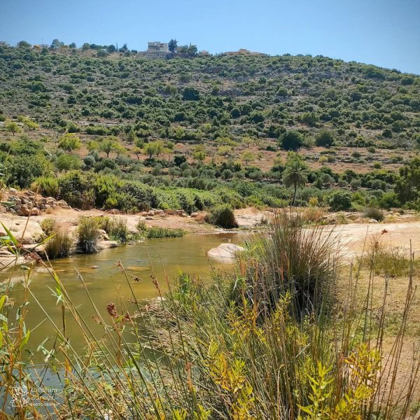  | موسوعة القرى الفلسطينية