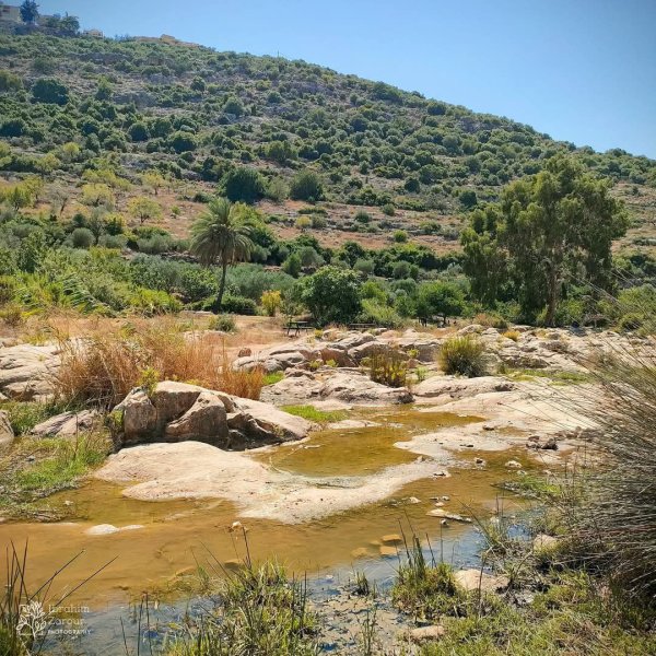  | موسوعة القرى الفلسطينية